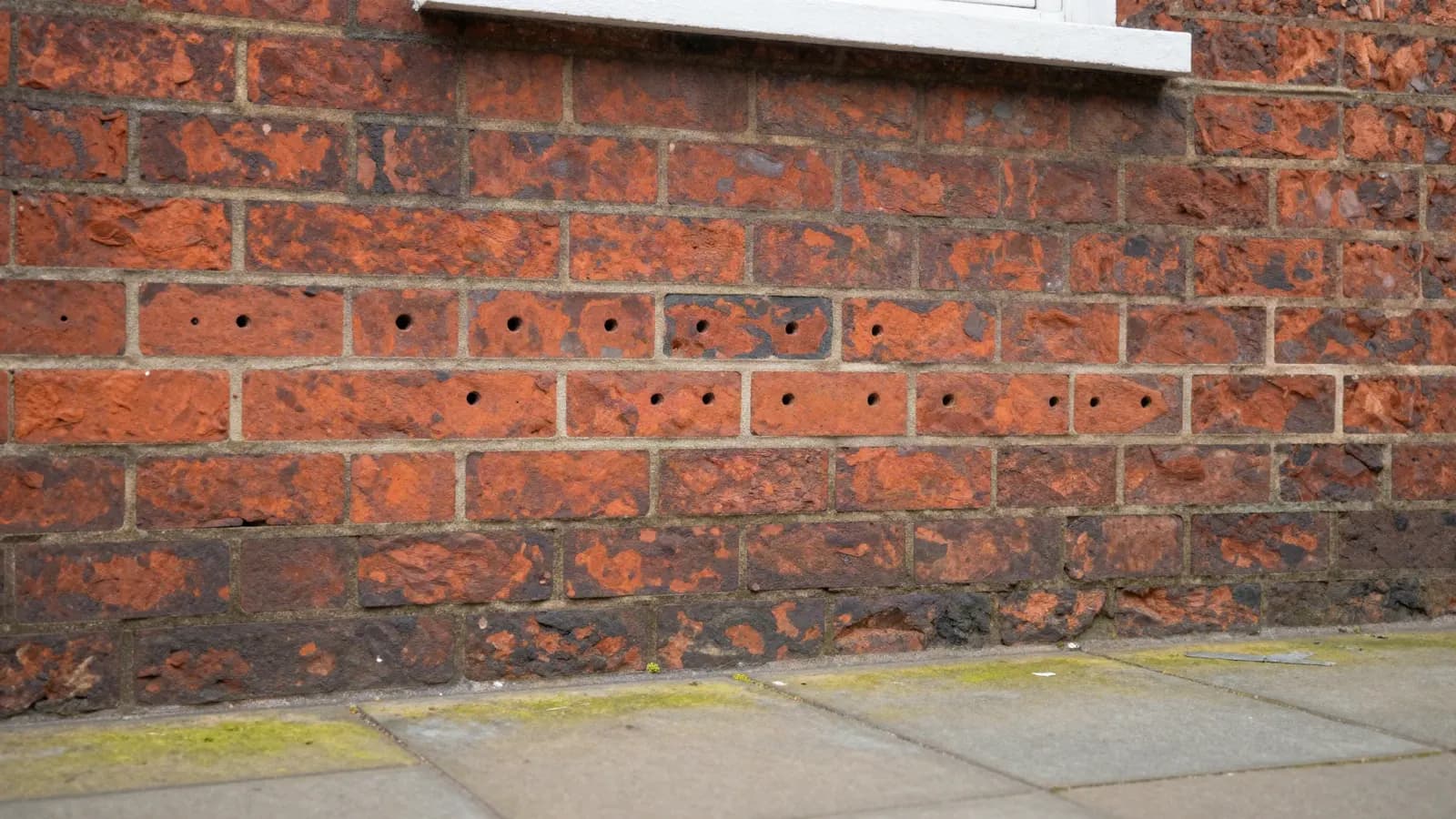 Was My Damp Proof Course Installed Correctly? How to Check